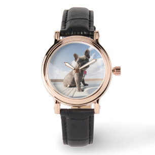 Cutest Baby Animals   French Bulldog Boating Watch