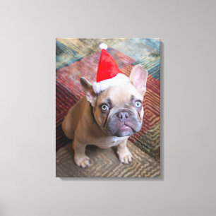 Cutest Baby Animals French Bulldog Christmas Canvas Print