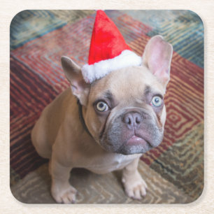 Cutest Baby Animals French Bulldog Christmas Square Paper Coaster