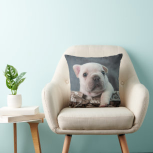 Cutest Baby Animals French Bulldog Cushion