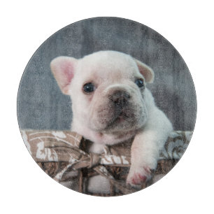 Cutest Baby Animals French Bulldog Cutting Board