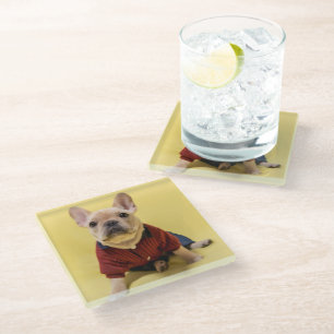 Cutest Baby Animals French Bulldog Dressed Glass Coaster