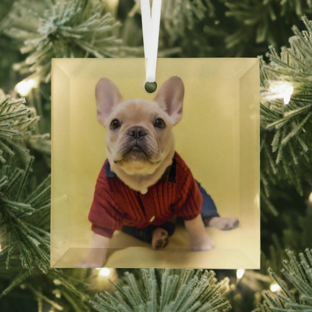Cutest Baby Animals | French Bulldog Dressed Glass Tree Decoration (Insitu)