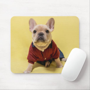 Cutest Baby Animals French Bulldog Dressed Mouse Mat