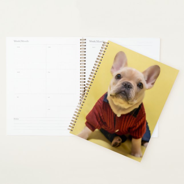 Cutest Baby Animals | French Bulldog Dressed Planner (Display)