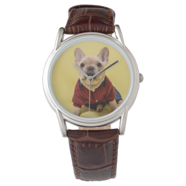 Cutest Baby Animals | French Bulldog Dressed Watch (Front)
