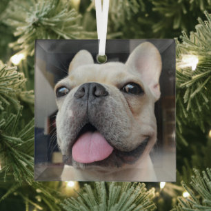 Cutest Baby Animals French Bulldog Face Glass Tree Decoration