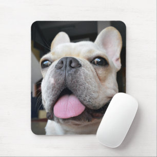 Cutest Baby Animals   French Bulldog Face Mouse Mat