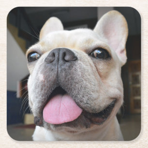 Cutest Baby Animals French Bulldog Face Square Paper Coaster