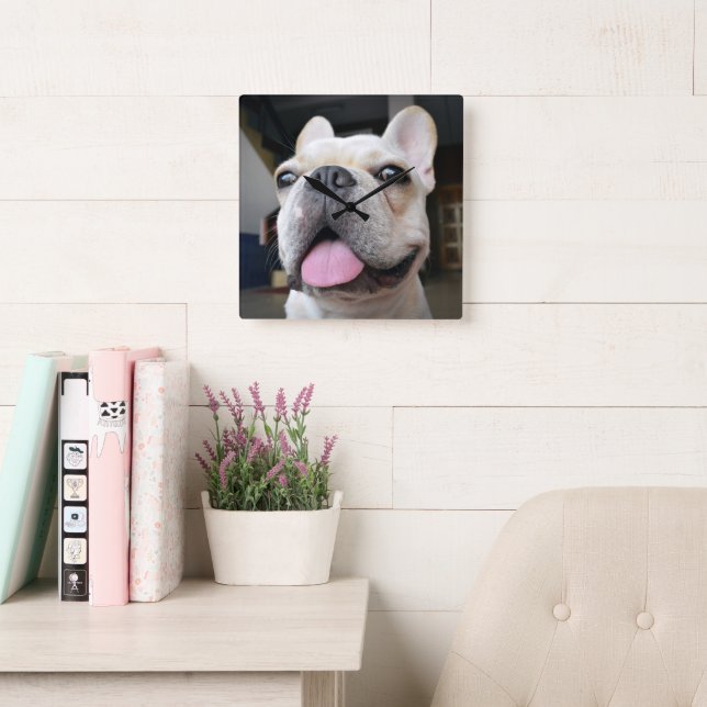 Cutest Baby Animals | French Bulldog Face Square Wall Clock (Reading Room)