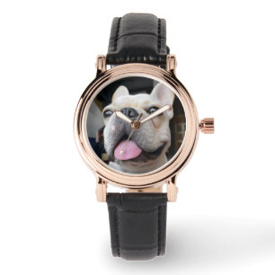 Cutest Baby Animals   French Bulldog Face Watch