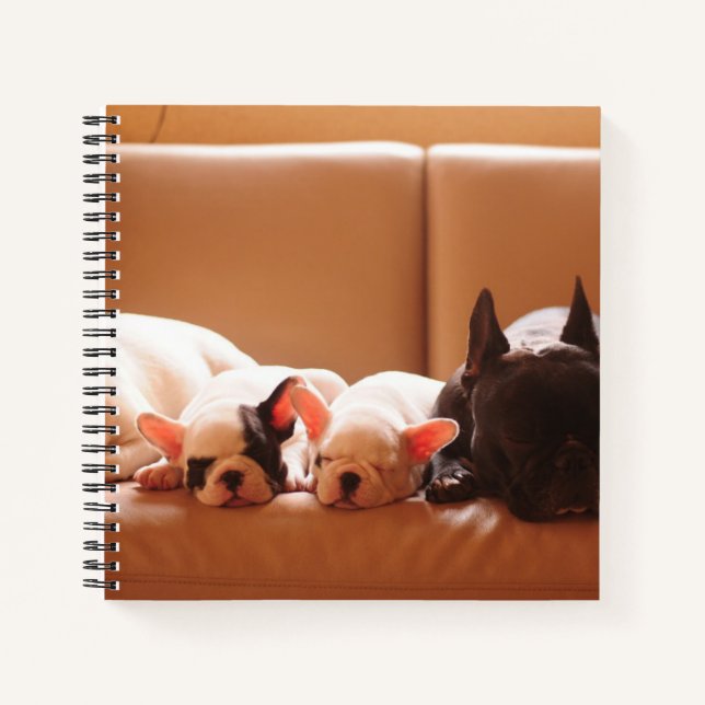 Cutest Baby Animals | French Bulldog Family Notebook (Front)