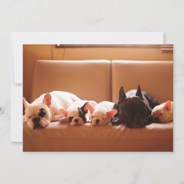 Cutest Baby Animals | French Bulldog Family Thank You Card (Front)