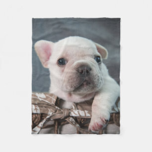 Cutest Baby Animals   French Bulldog Fleece Blanket