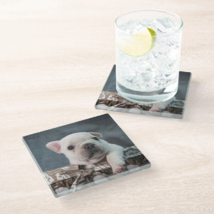 Cutest Baby Animals French Bulldog Glass Coaster
