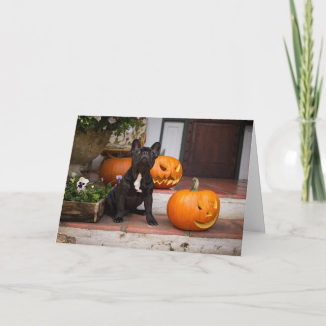 Cutest Baby Animals | French Bulldog Halloween Card (Front)