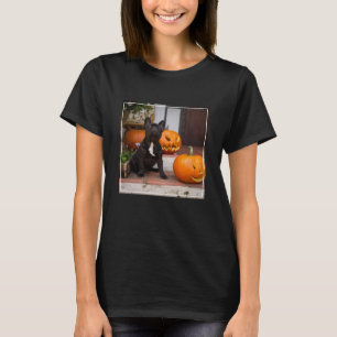 Cutest Baby Animals   French Bulldog Halloween T-Shirt