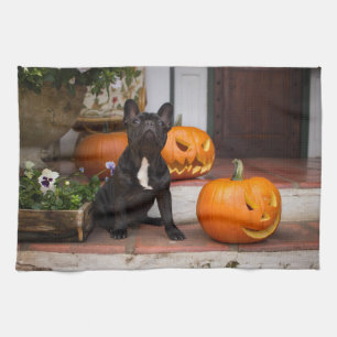 Cutest Baby Animals   French Bulldog Halloween Tea Towel