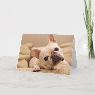 Cutest Baby Animals French Bulldog Head Tilt Card