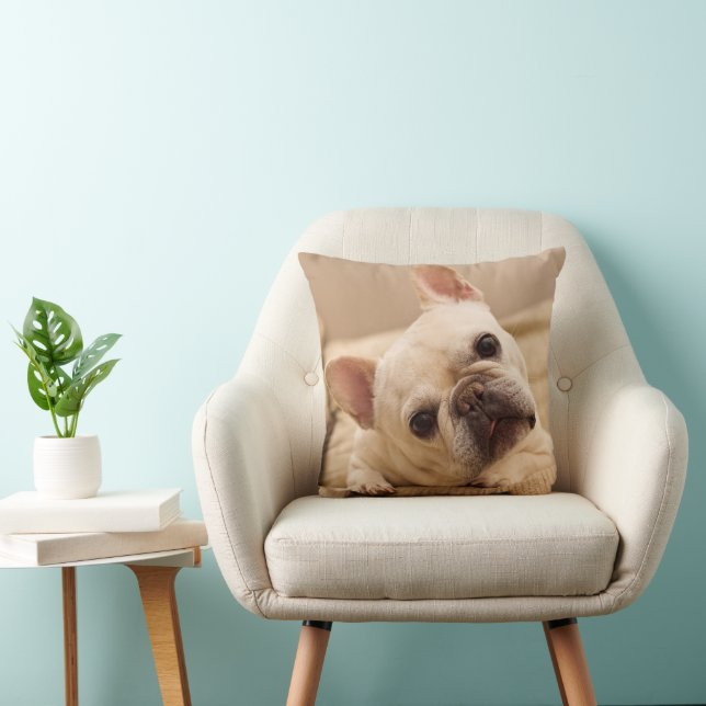 Cutest Baby Animals | French Bulldog Head Tilt Cushion (Chair)