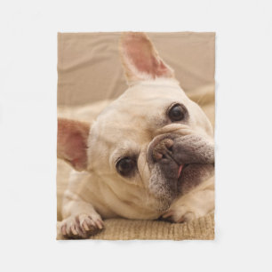 Cutest Baby Animals   French Bulldog Head Tilt Fleece Blanket