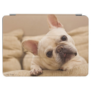 Cutest Baby Animals   French Bulldog Head Tilt iPad Air Cover