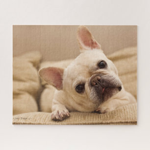Cutest Baby Animals French Bulldog Head Tilt Jigsaw Puzzle