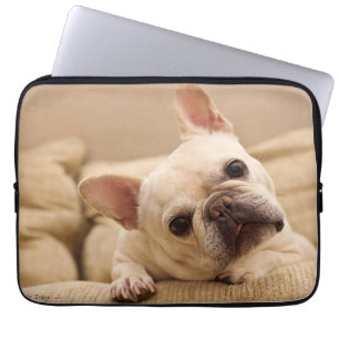 Cutest Baby Animals   French Bulldog Head Tilt Laptop Sleeve