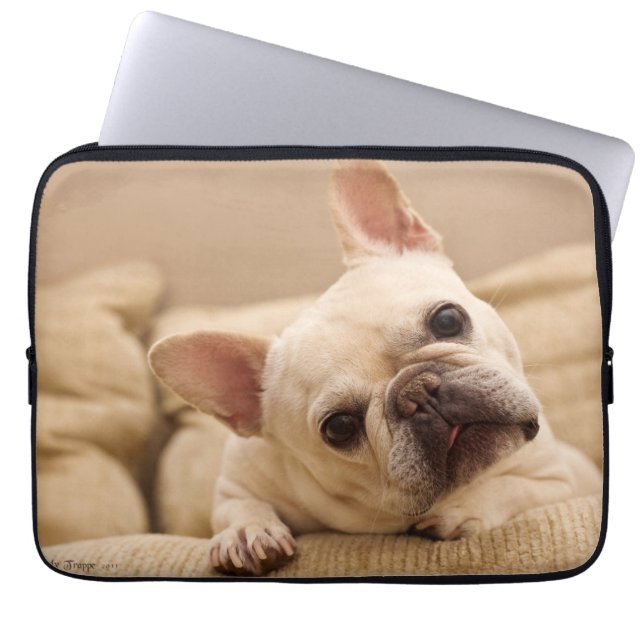 Cutest Baby Animals | French Bulldog Head Tilt Laptop Sleeve (Front)