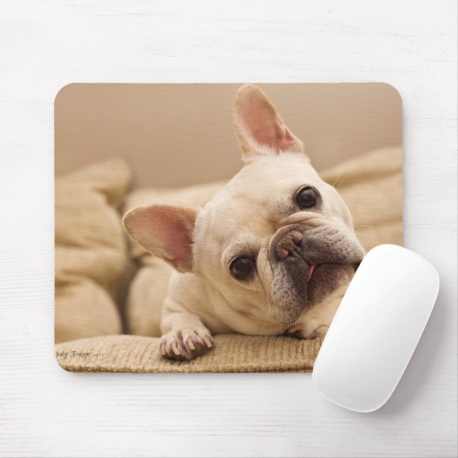 Cutest Baby Animals | French Bulldog Head Tilt Mouse Mat (With Mouse)