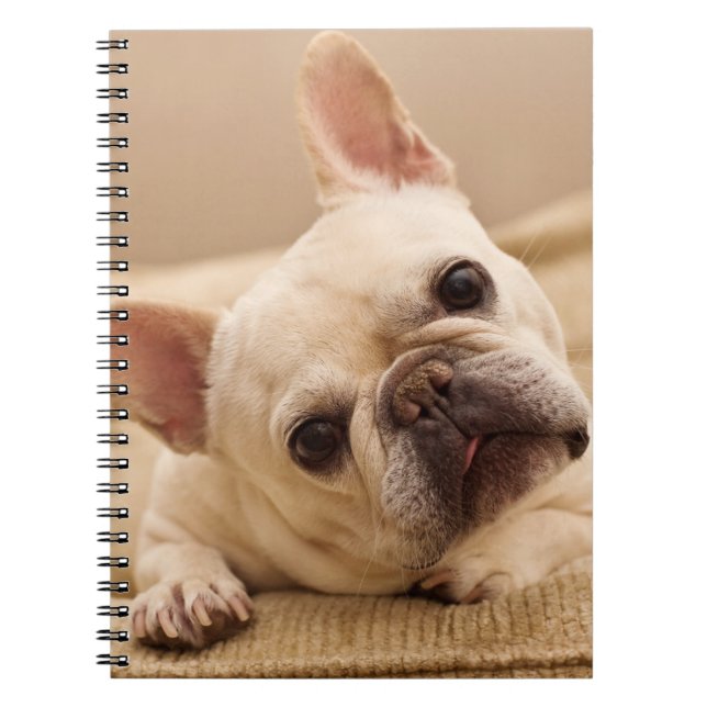 Cutest Baby Animals | French Bulldog Head Tilt Notebook (Front)