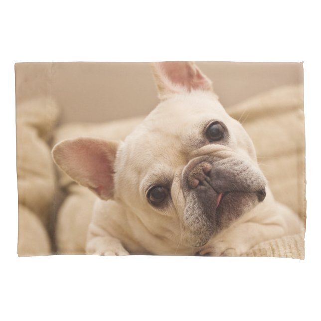 Cutest Baby Animals | French Bulldog Head Tilt Pillowcase (Front)
