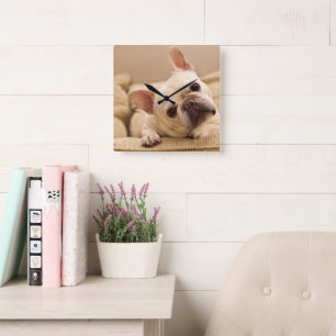 Cutest Baby Animals   French Bulldog Head Tilt Square Wall Clock
