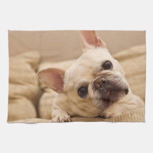 Cutest Baby Animals French Bulldog Head Tilt Tea Towel