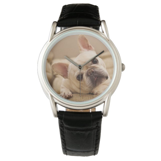 Cutest Baby Animals | French Bulldog Head Tilt Watch (Front)