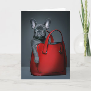 Cutest Baby Animals French Bulldog in Handbag Card