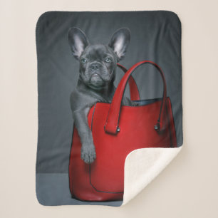 Cutest Baby Animals French Bulldog in Handbag Sherpa Blanket