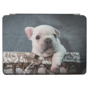 Cutest Baby Animals   French Bulldog iPad Air Cover