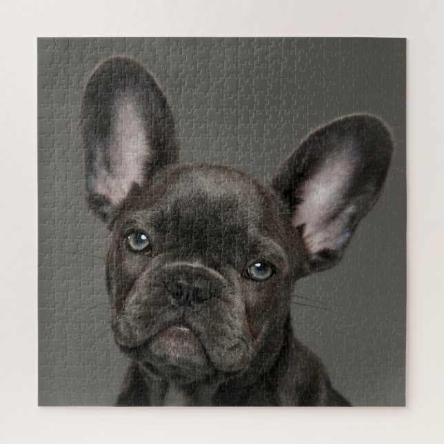Cutest Baby Animals | French Bulldog Jigsaw Puzzle (Vertical)