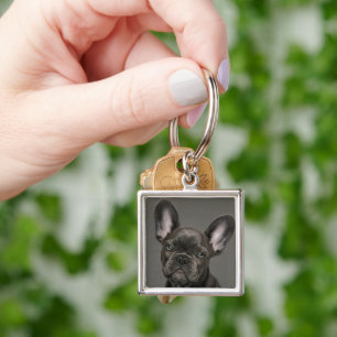 Cutest Baby Animals   French Bulldog Key Ring