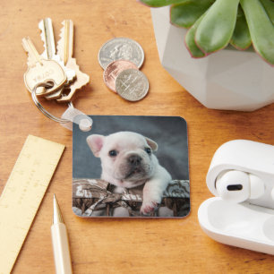 Cutest Baby Animals French Bulldog Key Ring