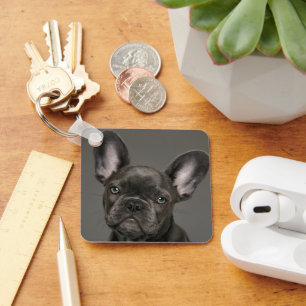 Cutest Baby Animals   French Bulldog Key Ring