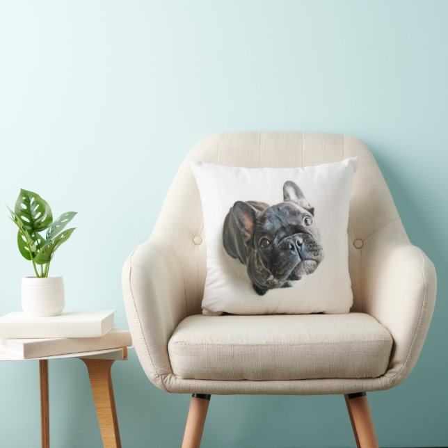 Cutest Baby Animals | French Bulldog Look Up Cushion (Chair)
