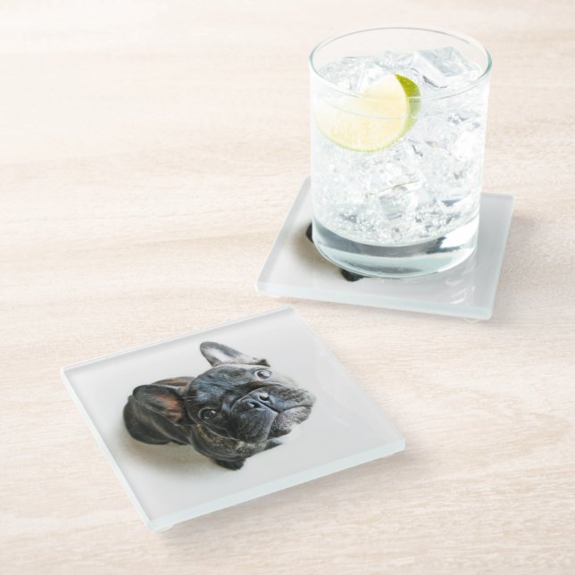Cutest Baby Animals | French Bulldog Look Up Glass Coaster (Angled)