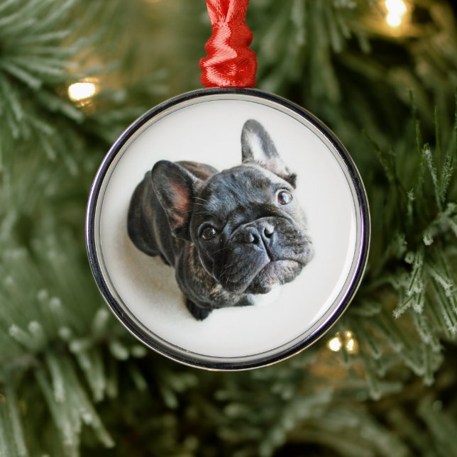 Cutest Baby Animals | French Bulldog Look Up Metal Tree Decoration (Tree)