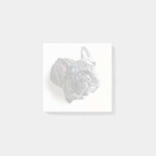 Cutest Baby Animals French Bulldog Look Up Post-it Notes