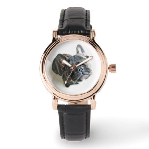 Cutest Baby Animals   French Bulldog Look Up Watch