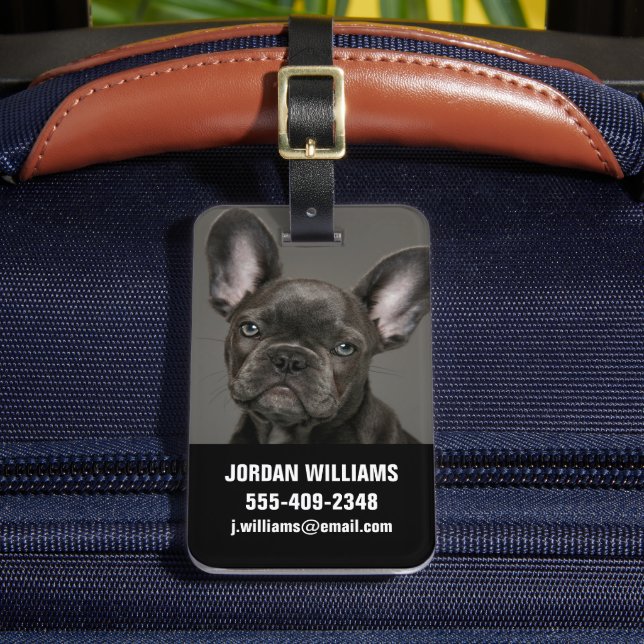 Cutest Baby Animals | French Bulldog Luggage Tag (Front Insitu 2)