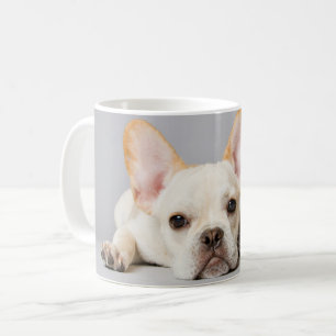 Cutest Baby Animals   French Bulldog Lying Down Coffee Mug