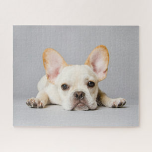 Cutest Baby Animals French Bulldog Lying Down Jigsaw Puzzle